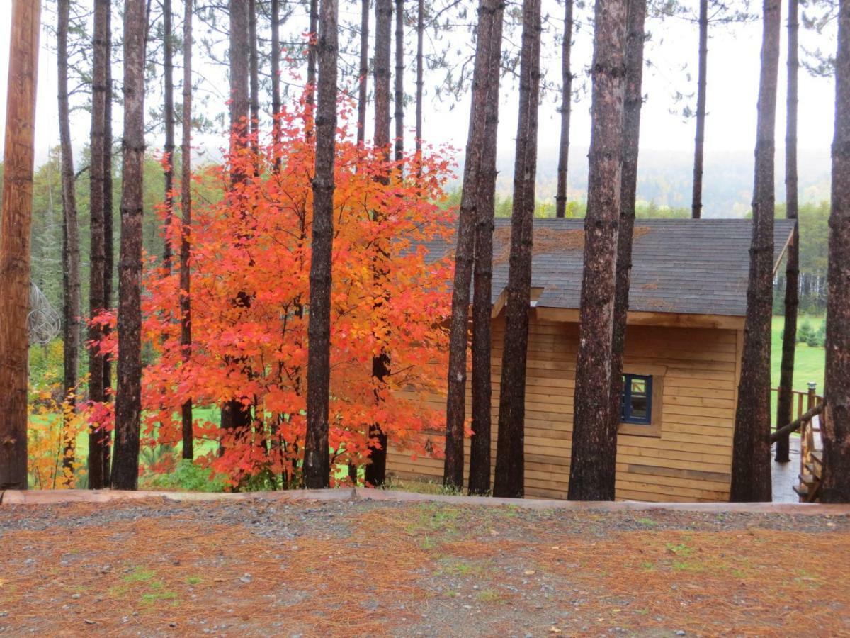 La Maison Sous Les Arbres Saint Roch de Mekinac Exterior photo