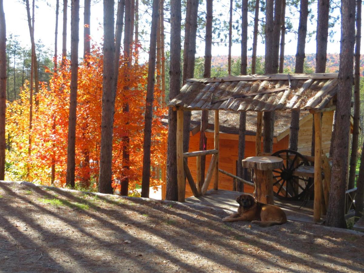 La Maison Sous Les Arbres Saint Roch de Mekinac Exterior photo